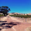 Russell Vineyard, Lots 6 & 574 Lily Farm Rd and Lots 552 & 570 Krondorf Road, Krondorf, SA 5352