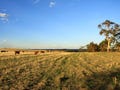 Perfect Small Farms various sizes Beverley WA 6304