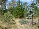 Lot 2 Ross Creek - Haddon Road, Ross Creek, Vic 3351