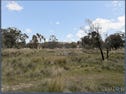 45 Lever Place, Royalla, NSW 2620