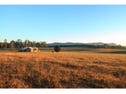 270 Palmers Lane, Pokolbin, NSW 2320