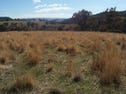 "Wombat Valley" Off Wick Whack Road, Bigga, NSW 2583