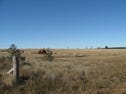 SUNNYSIDE EAST, Dubbo, NSW 2830