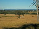 Proposed Lot 101 Debeyers Road, Pokolbin, NSW 2320