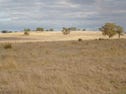 Sec 390 Hd of Joanna, Naracoorte, SA 5271