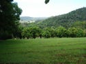 62A Tomewin Mountain Road, Currumbin Valley, Qld 4223