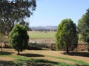 8710 Black Stump Way, Tambar Springs, NSW 2381