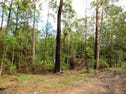 Wilson Road, Congarinni, NSW 2447