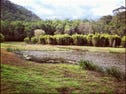 411-469 Smallwood Road, Glenorie, NSW 2157