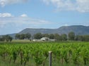 223 Deasy's Road, Pokolbin, NSW 2320