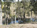 17 Rileys Road Coolagolite, Bermagui, NSW 2546