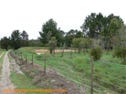 52 Tunnel Road, Dalveen, Qld 4374