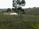 Lot 243 Highgrove Heights Road, Windellama, NSW 2580