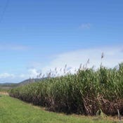 154 Cape Tribulation Road, Mossman, Qld 4873