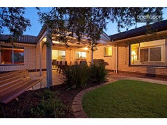 19 Brian Terrace, Morphett Vale, SA 5162