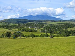 Peeramon