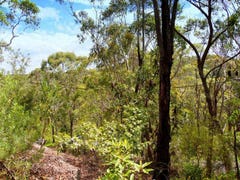 62 Henry Street, Lawson, NSW 2783