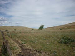 Cooma