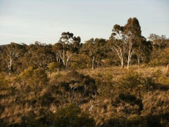 Cooma