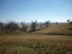 Cooma