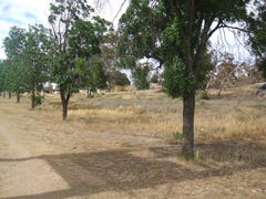 Cooma