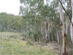 Anembo