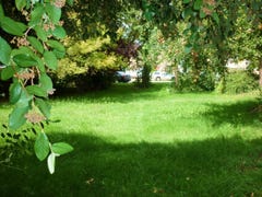 Cooma