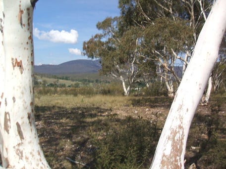 151 BERESFORD ROAD, Numeralla, NSW 2630