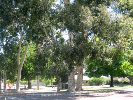 23 Cornish, Manning, WA 6152
