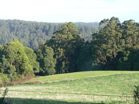 630 Dehnerts Track, Beech Forest, Vic 3237