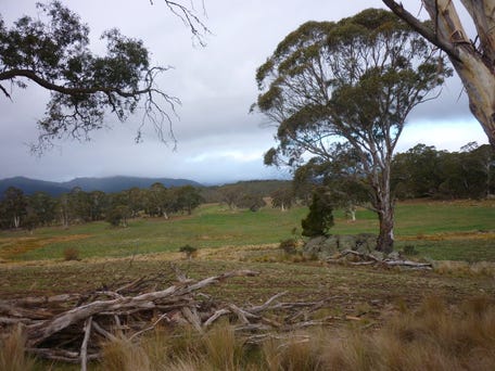 Tuross Road, Kybeyan, NSW 2631
