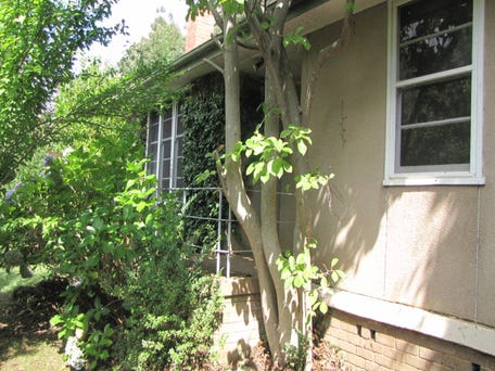 5 Lobelia Street, O'Connor, ACT 2602