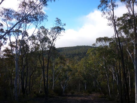 5, Peak View Road, Numeralla, NSW 2630