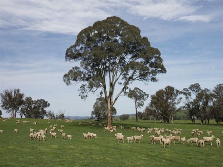 Sold Price for 504 Cooks Hill Road Yass NSW 2582