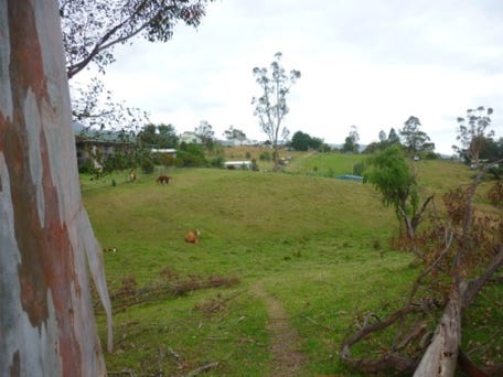 23-23 Robertson Street, Bemboka, NSW 2550