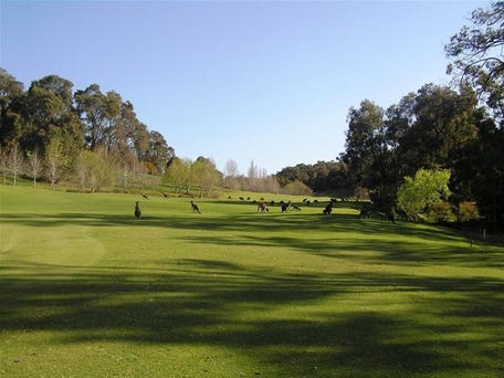 Araluen Golf