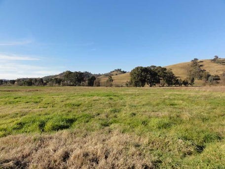 Adelong Show