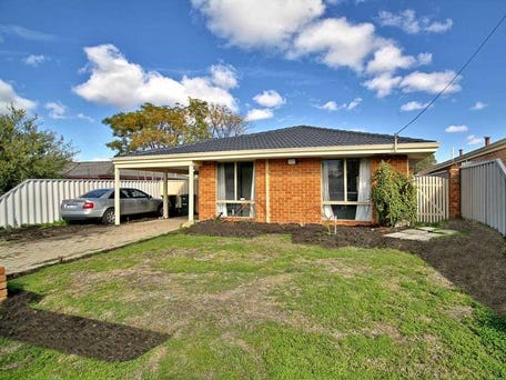 33 Galaxy Street, Carlisle, WA 6101
