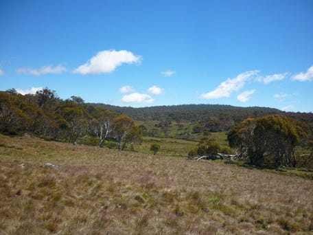 Snowy Plains, Eucumbene, NSW 2628