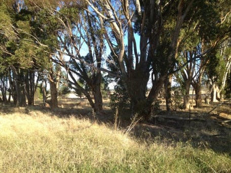 RMB 111 Alma Park, Walla Walla, NSW 2659