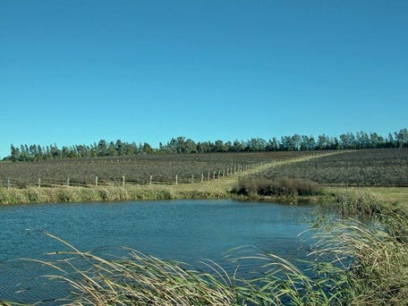 Pokolbin Nsw