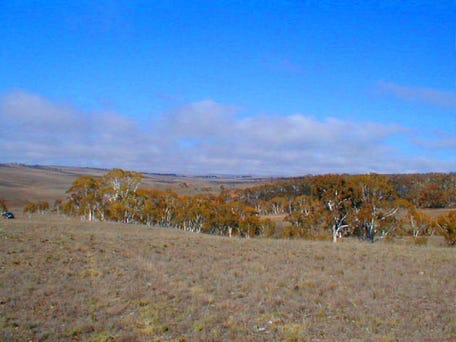 Dry Plains Rd, Cooma, NSW 2630