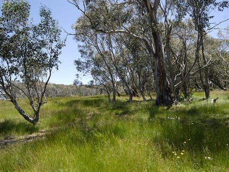 Lot 1, 10 Horsehair Bend, Dinner Plain, Vic 3898