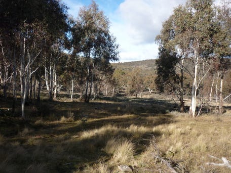 128, Ashvale Road, Adaminaby, NSW 2629