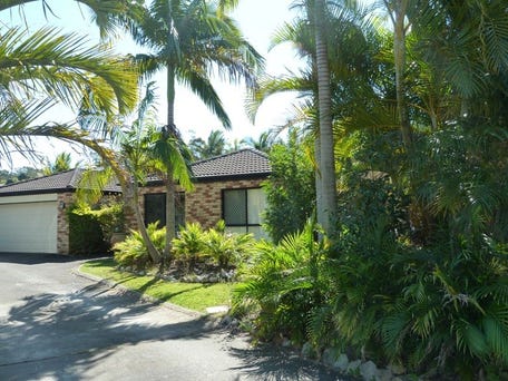 16 Serenella Court, Buderim, Qld 4556