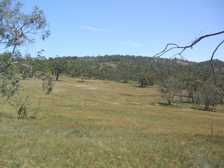 Lot 7 Mount Forest Road, Carlaminda, NSW 2630