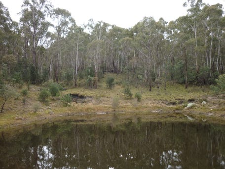 Lots 2-3 Countegany Road, Numeralla, NSW 2630