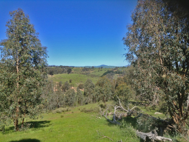 524 Table Top Road, Bridge Creek, Vic 3723 ESCAPE THE RAT RACE