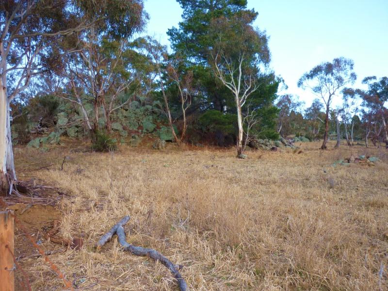 Cooma