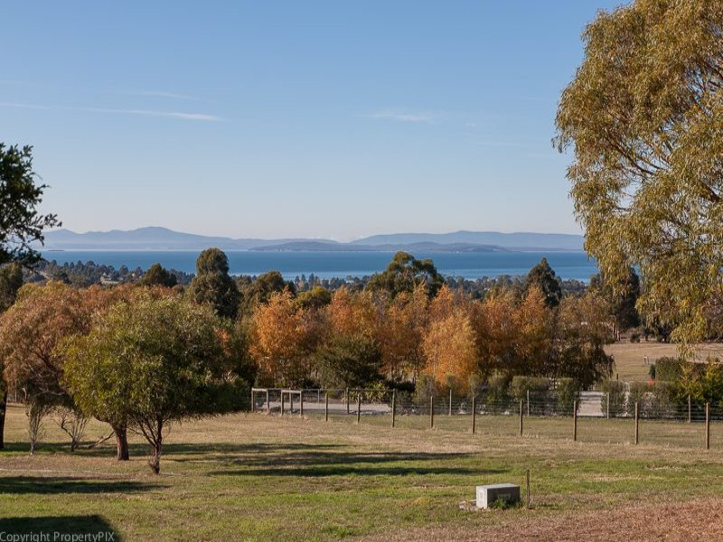 196 Tara Drive, Acton Park, Tas 7170 Enough land for one or two
